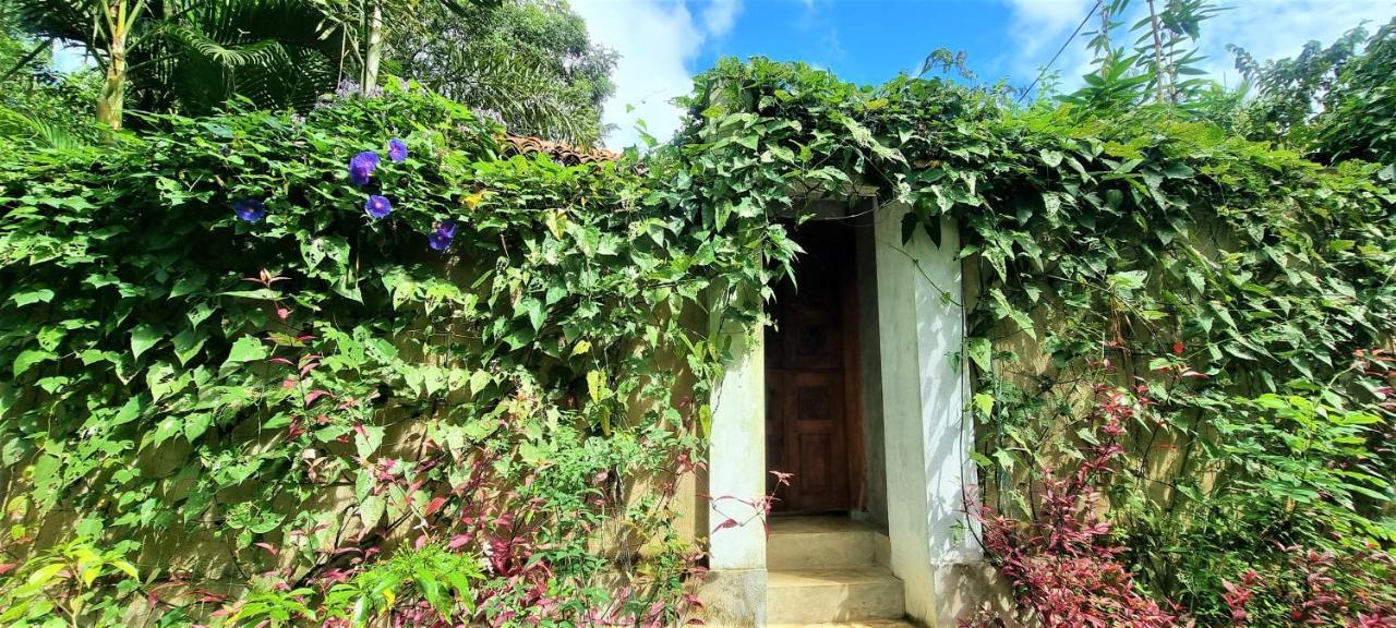 Sand Dollar House, Hiriketiya Dikwella Exteriér fotografie